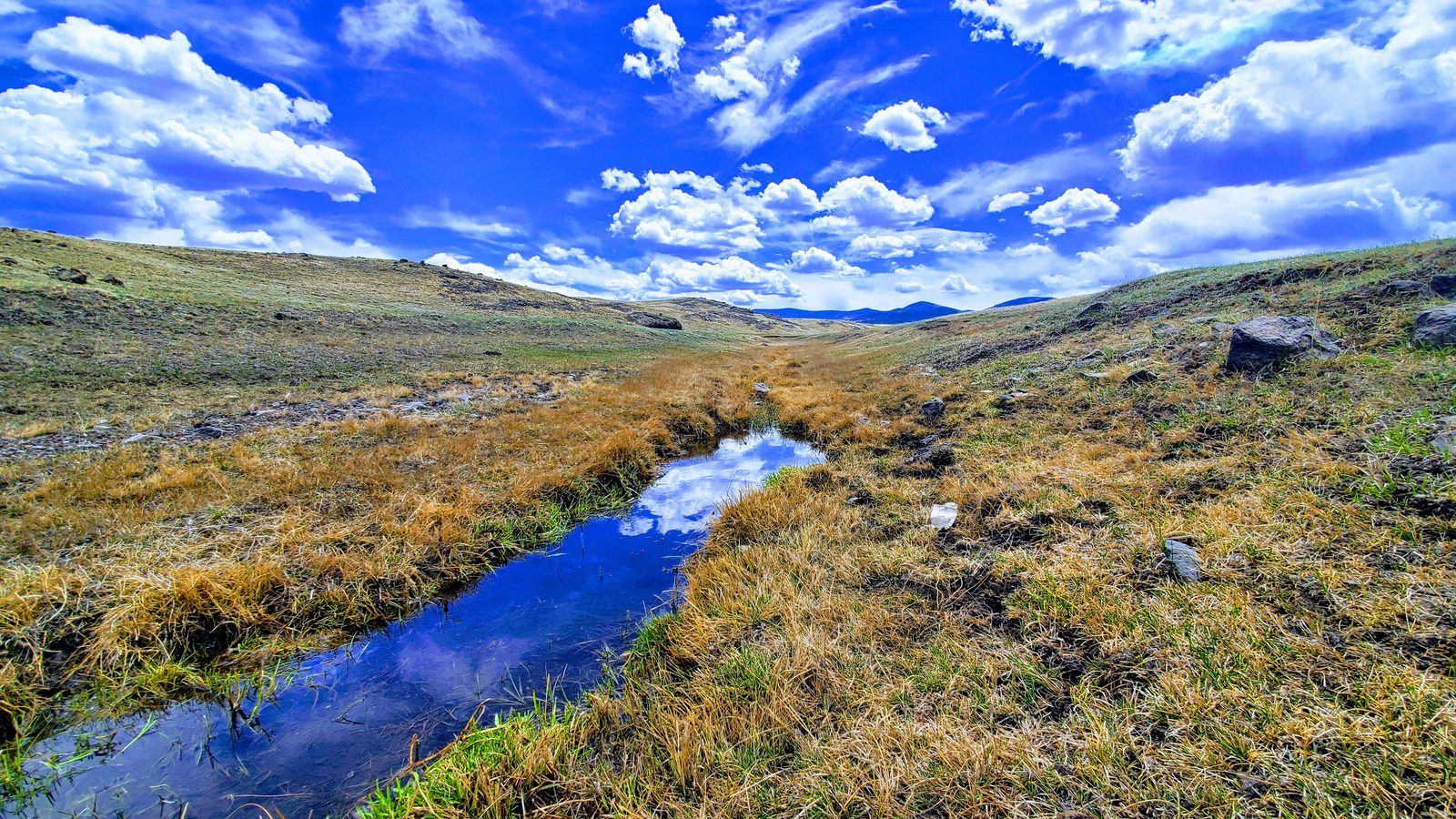 Stream winding through golden grassland with mountains on the horizon at 11 Mile View, Park County, Colorado