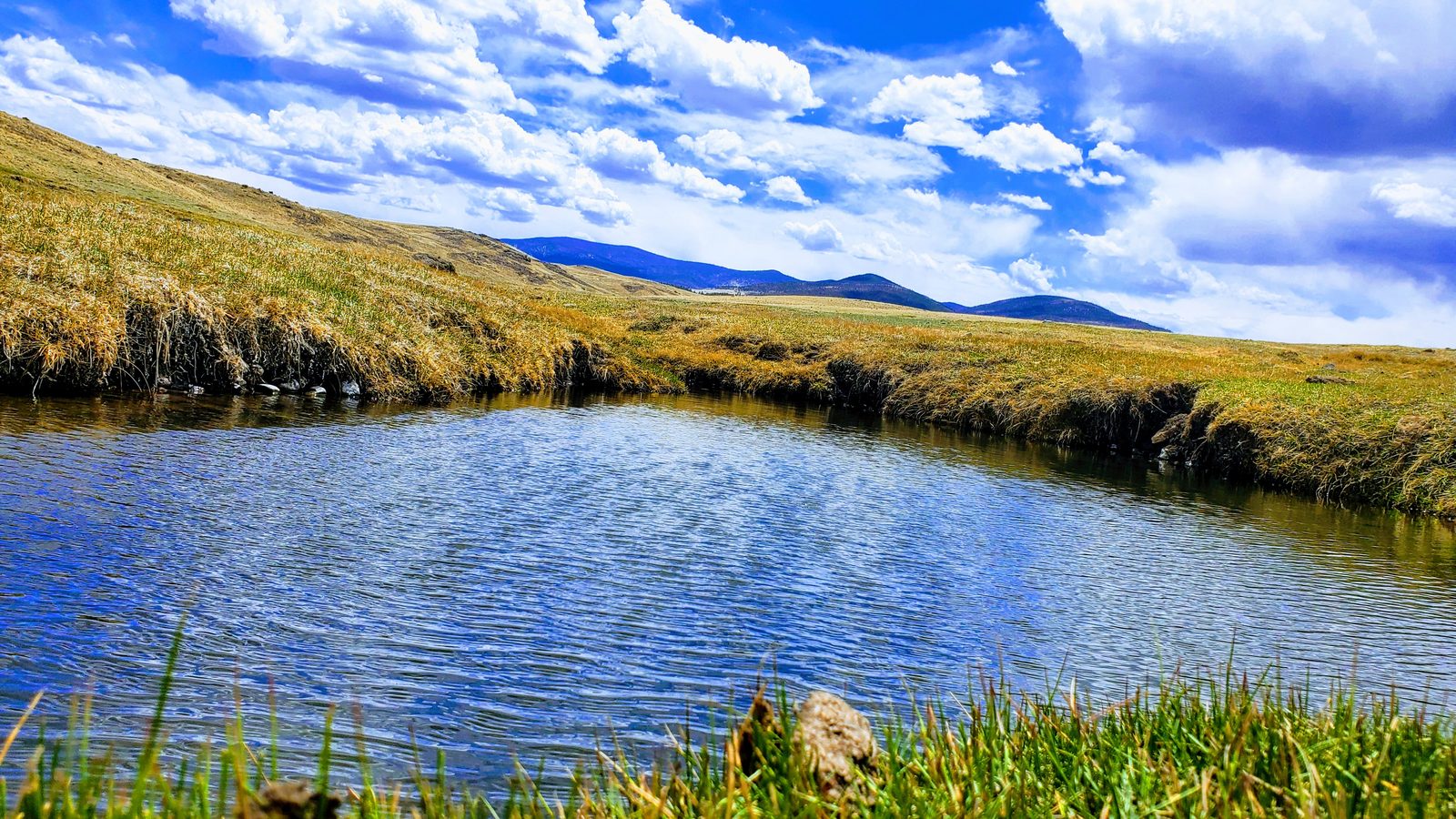 Pond in open grassland under a cloud-filled sky at 11 Mile View, Park County, Colorado