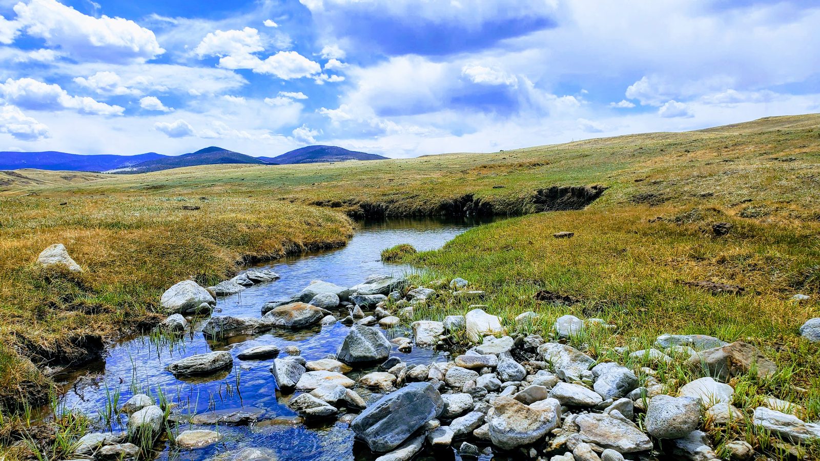 Rocky stream crossing in high-country grassland at 11 Mile View, Park County, Colorado
