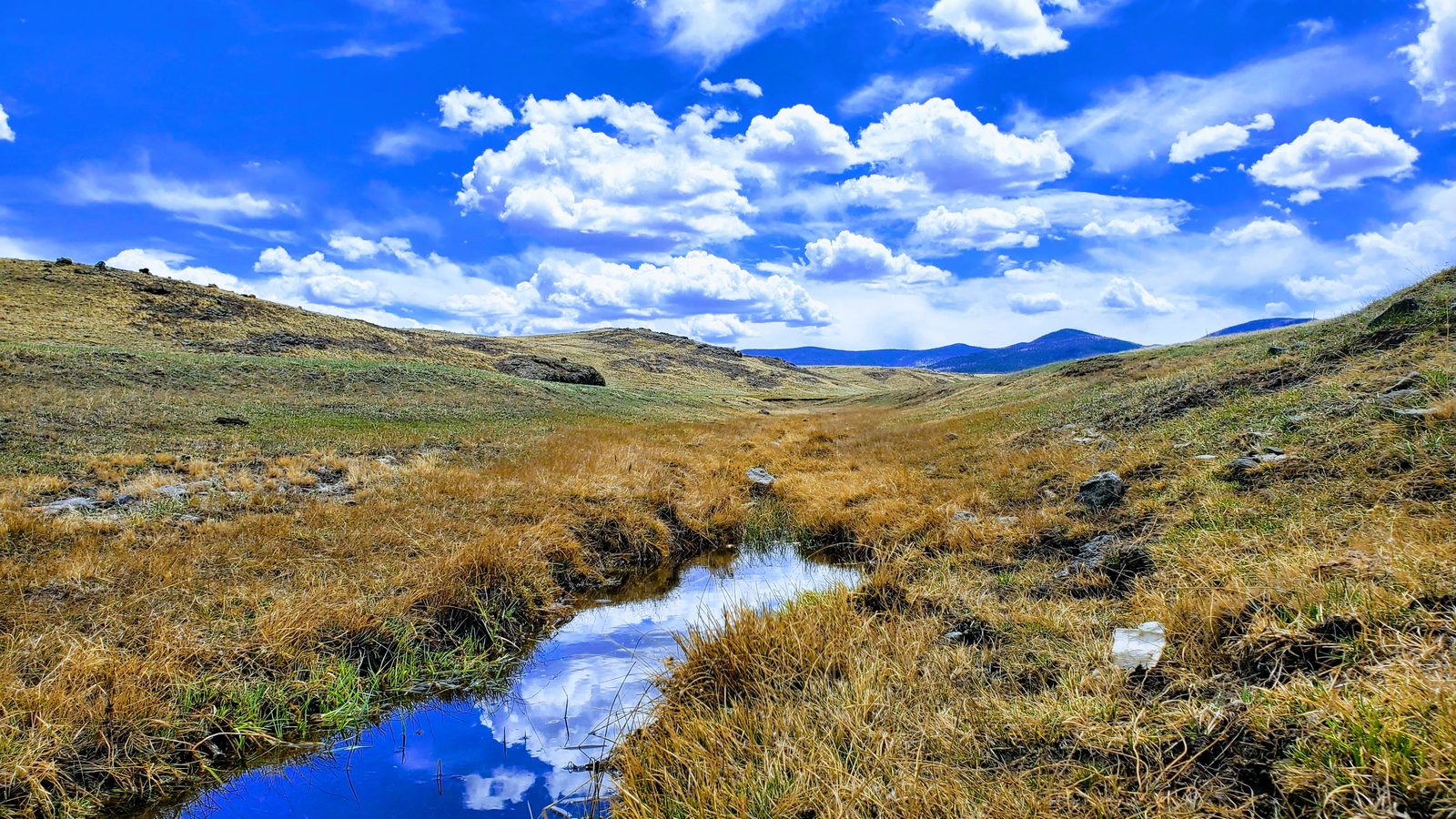 Small stream through dry grass with distant mountains at 11 Mile View, Park County, Colorado