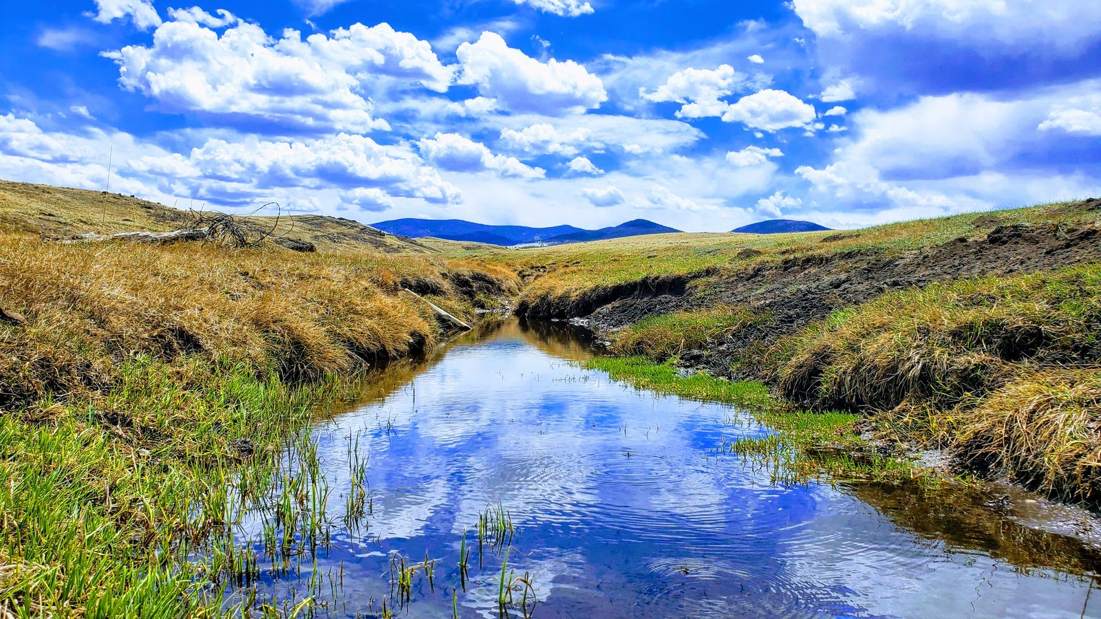 Stream reflecting clouds between grassy banks at 11 Mile View, Park County, Colorado