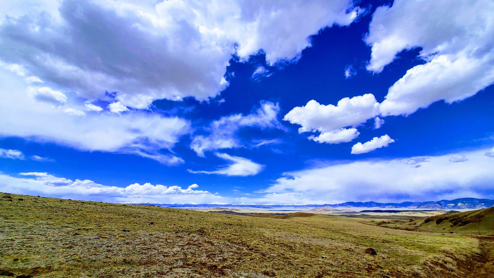 Wide open grassland under big clouds at 11 Mile View, Park County, Colorado