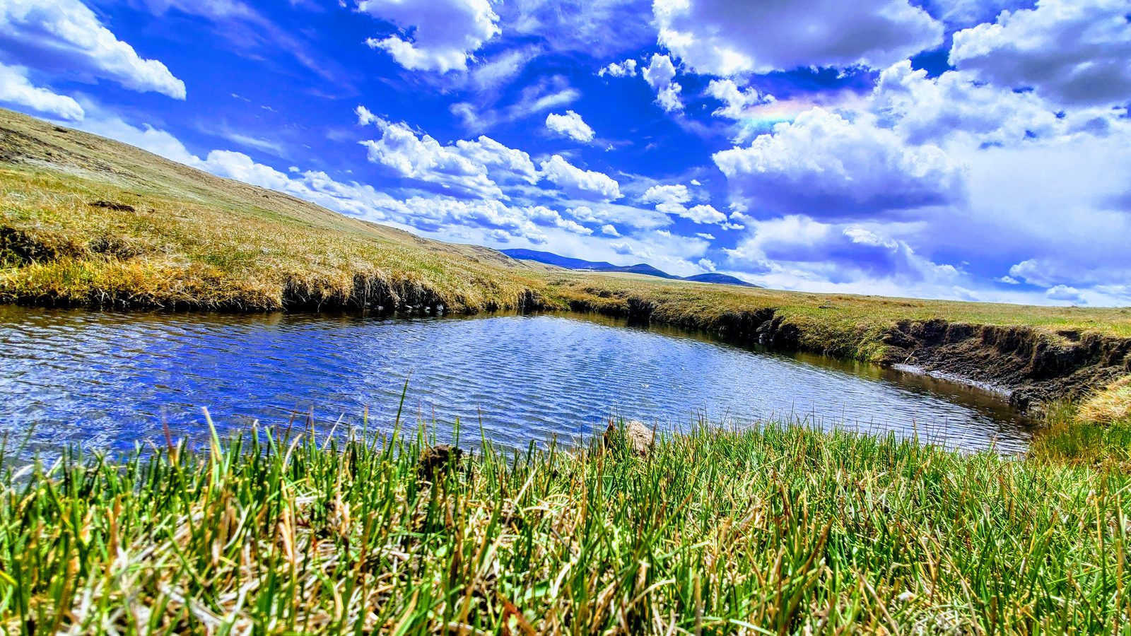 Pond with green grass in the foreground and rolling hills beyond at 11 Mile View, Park County, Colorado