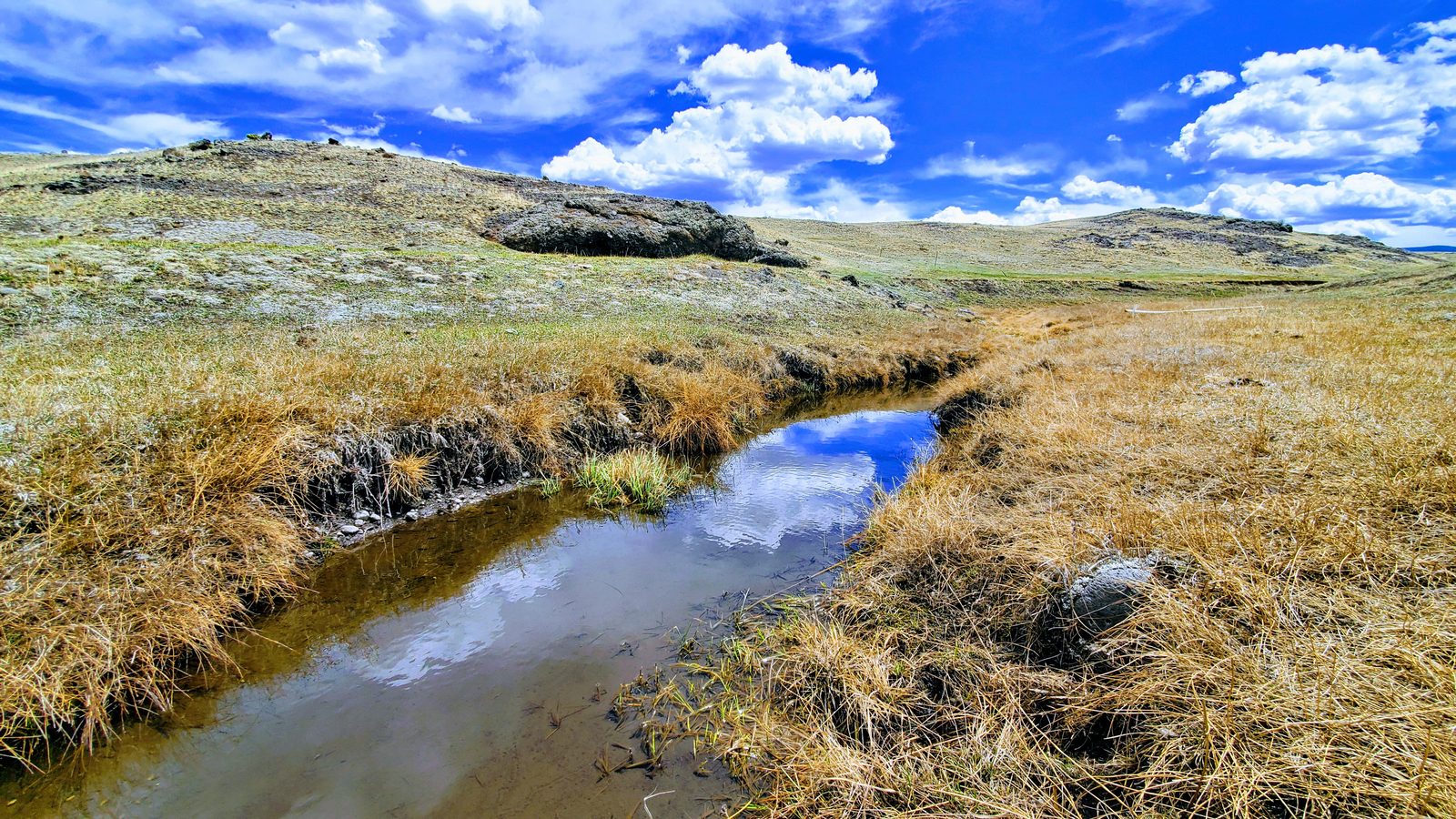 Narrow stream cutting through grassland toward low hills at 11 Mile View, Park County, Colorado
