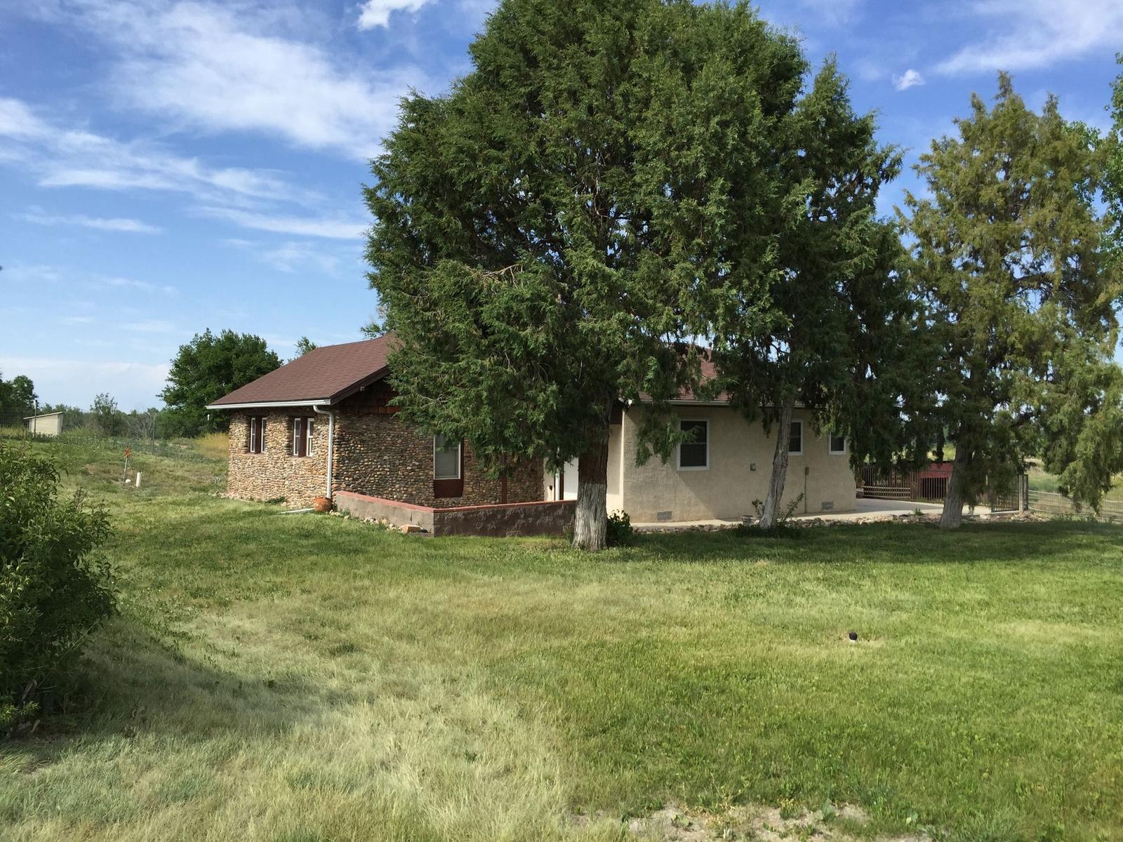 Green fields, a barn, and a tree line at Arkansas River Farm, Pueblo County, Colorado