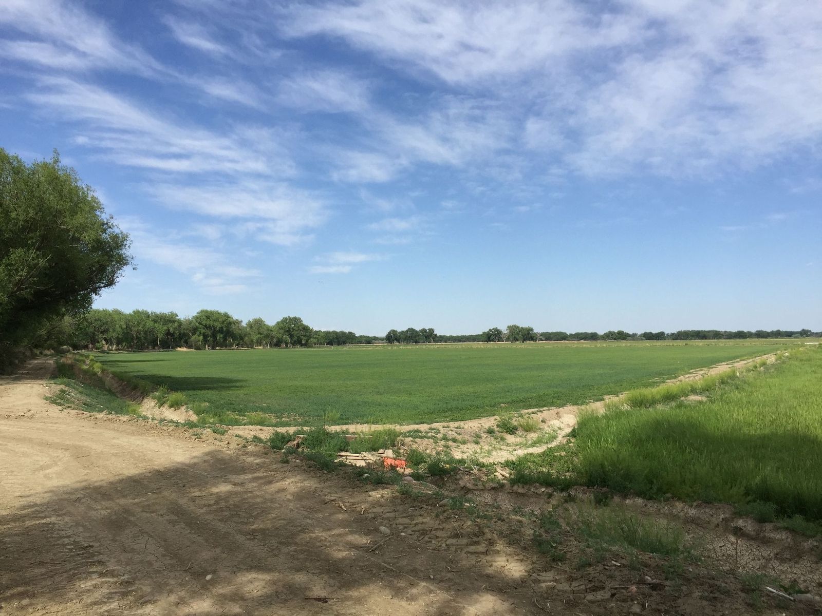 Green fields and a center-pivot irrigation system at Arkansas River Farm, Pueblo County, Colorado