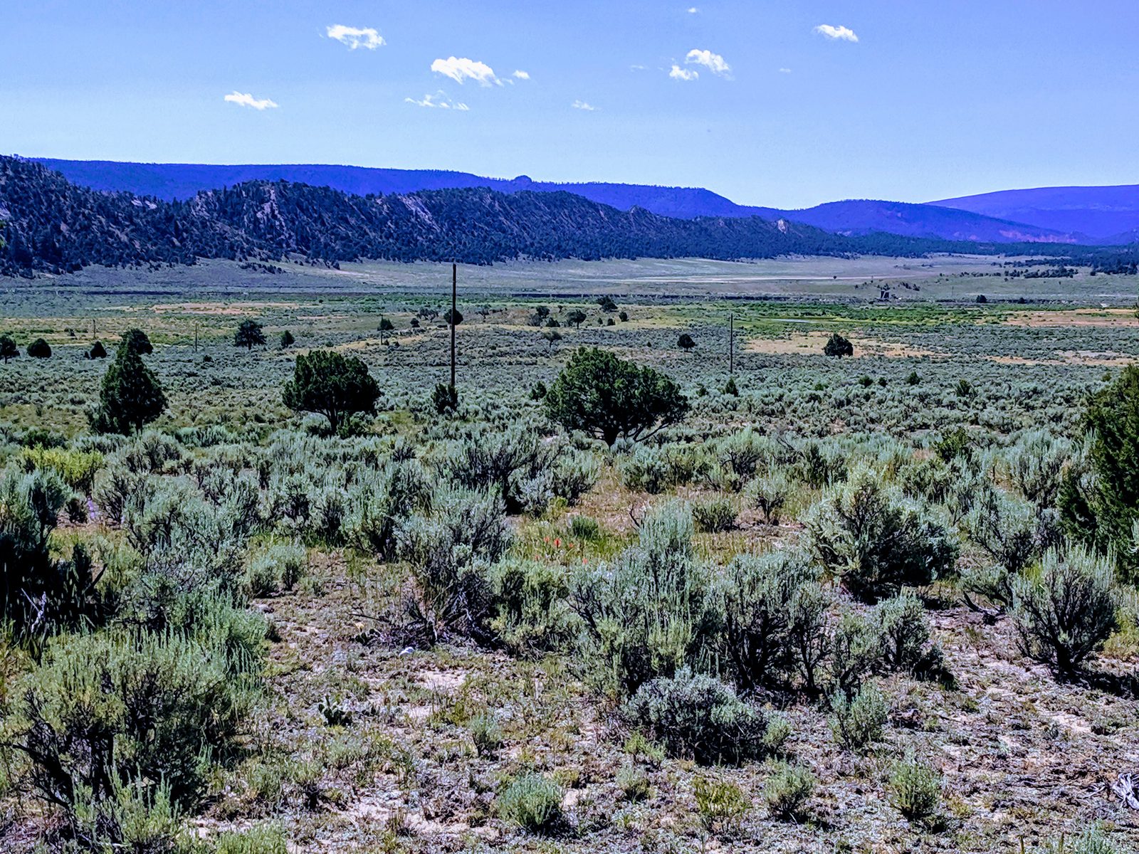Red rock canyon and a mesa at Arroyo Blanco Ranch, Rio Arriba County, New Mexico