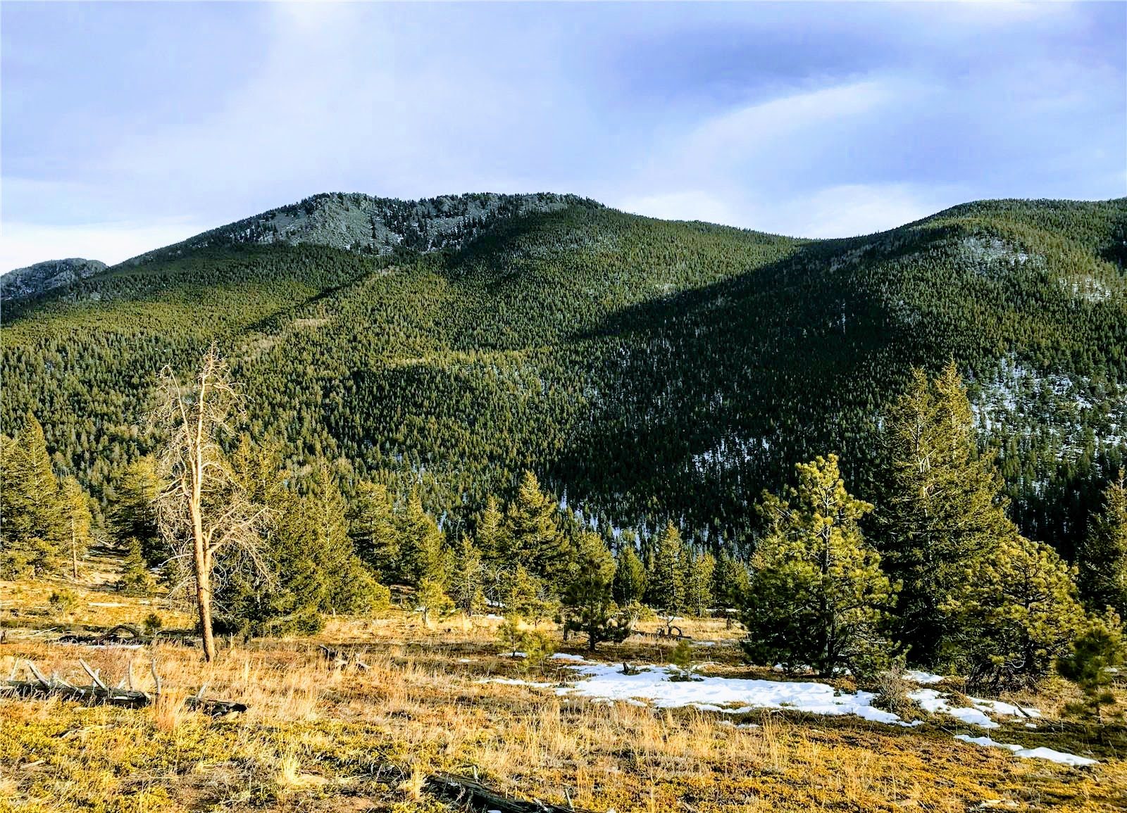 Pine-covered valley below a granite peak at Beaver Creek South, Colorado