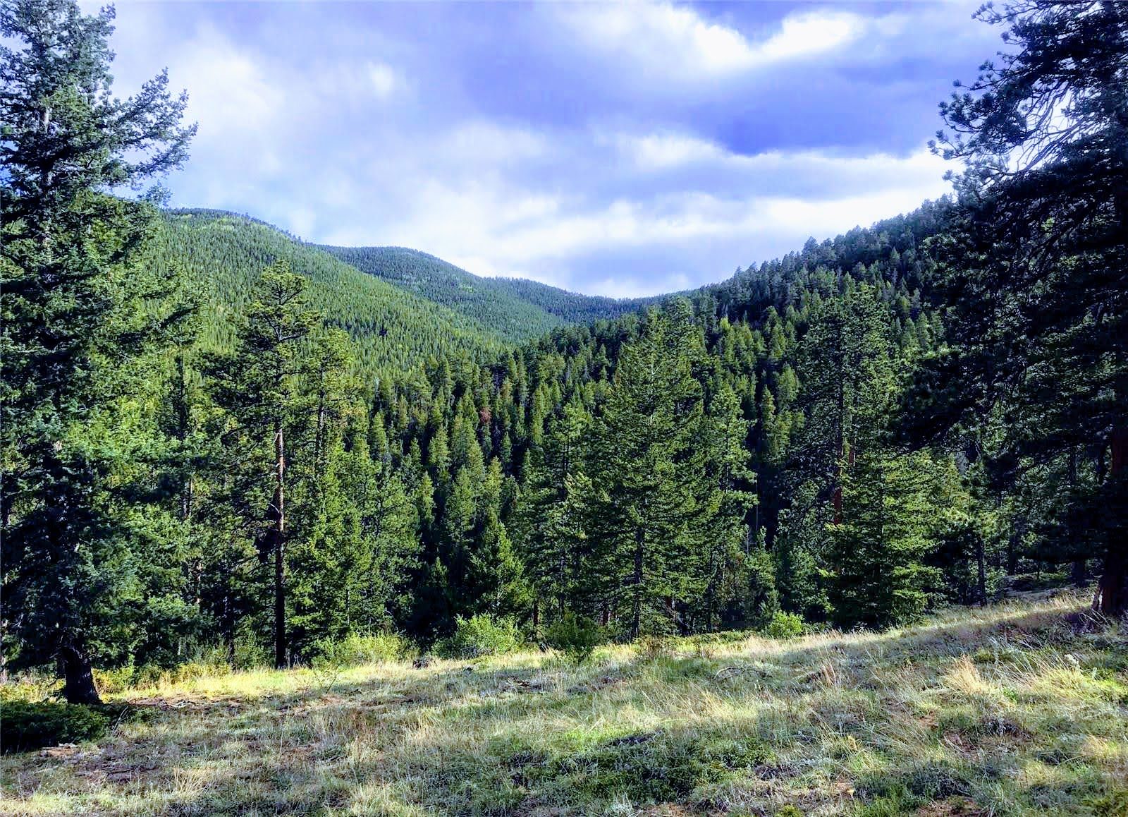 Open meadow below forested hills at Beaver Creek South, Colorado