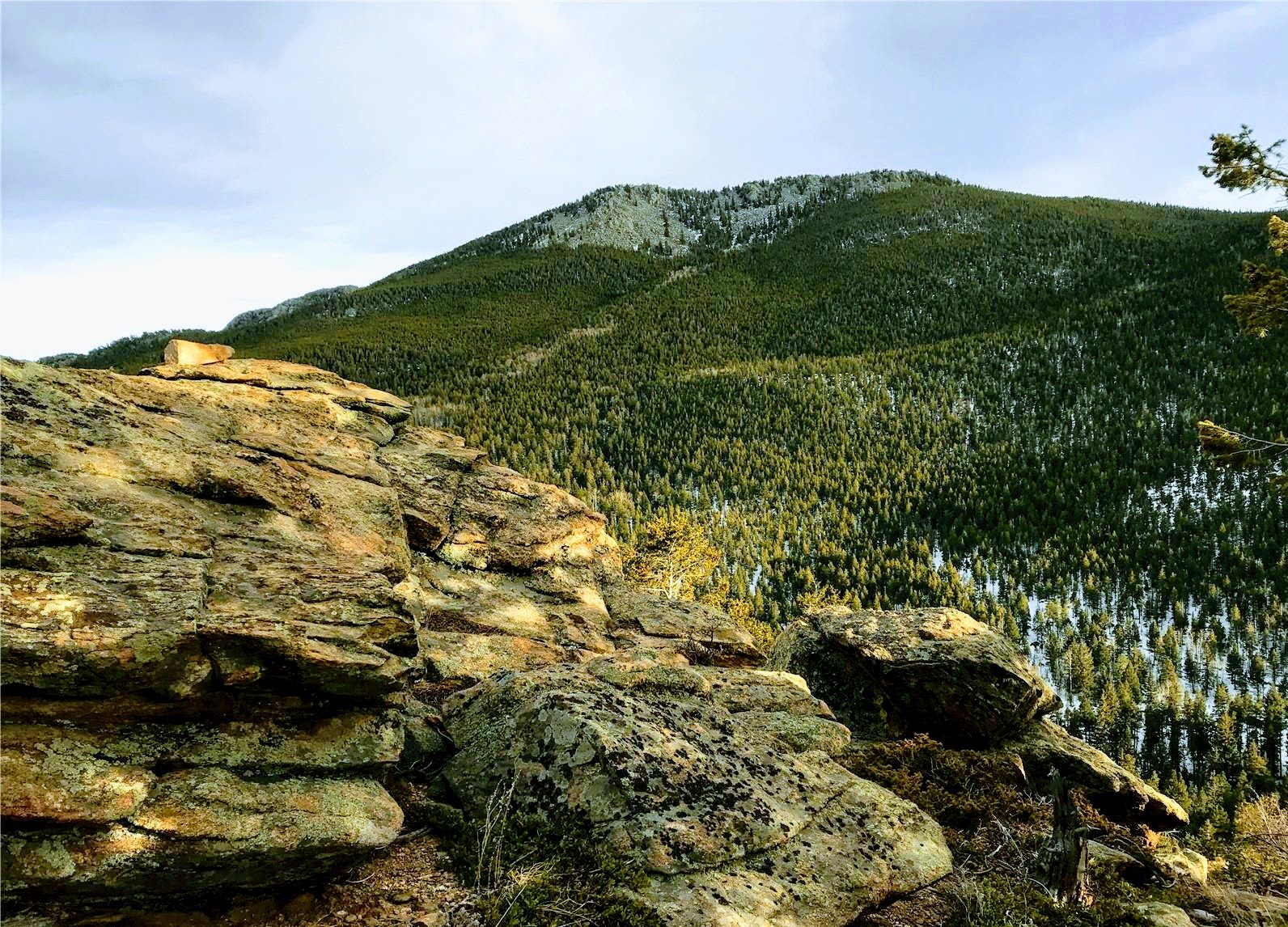 Rock outcrop above a forested valley at Beaver Creek South, Colorado