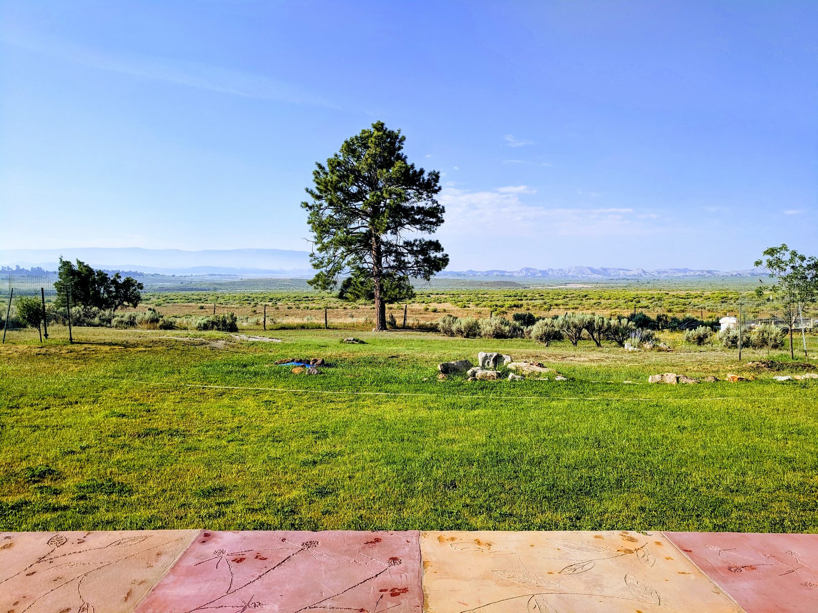 Lawn and a lone pine tree with a long valley view at Casa Blanca, Rio Arriba County, New Mexico