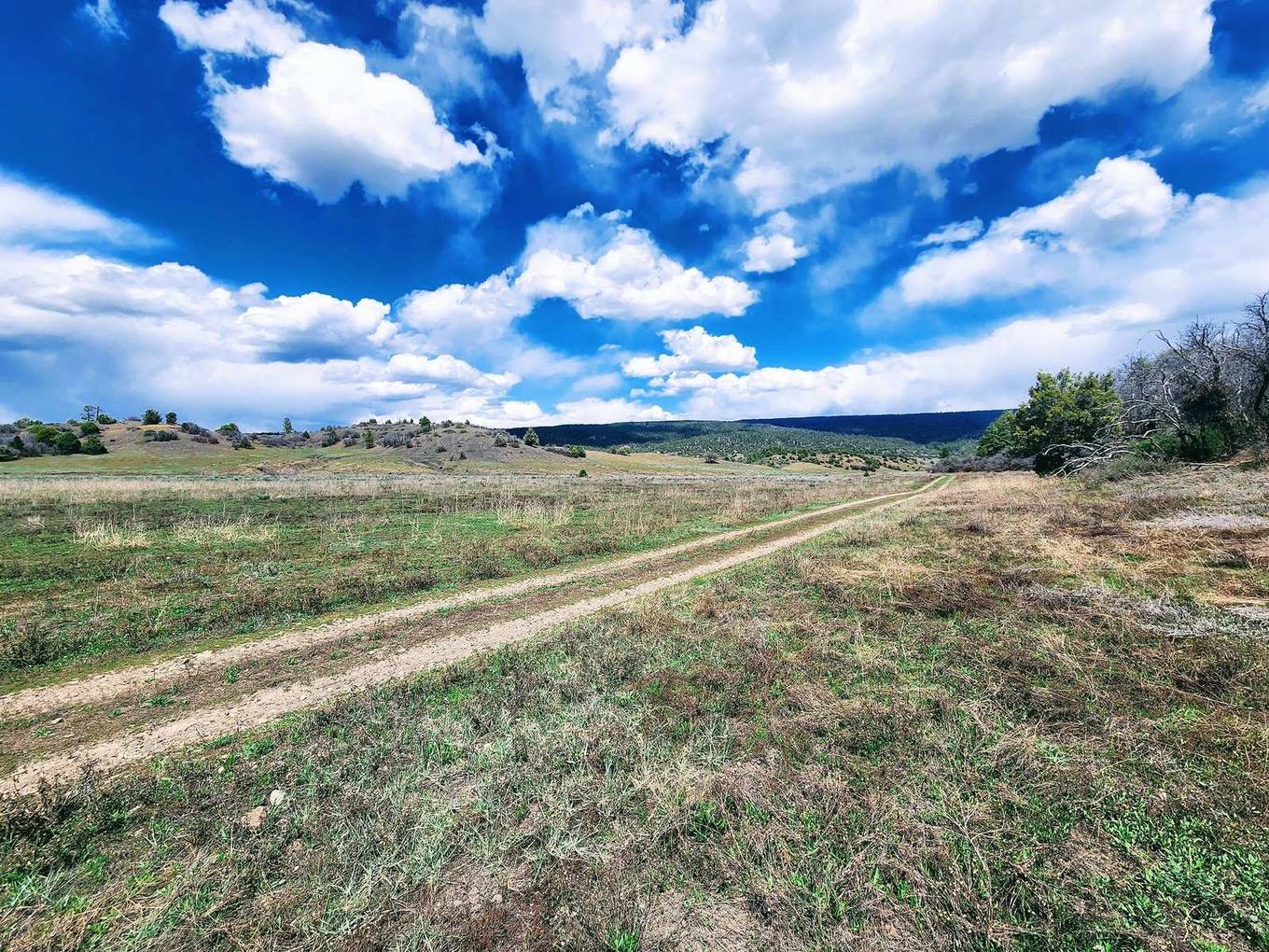 Dirt road through open pasture toward distant hills, Cat Creek Ranch, Archuleta County, Colorado