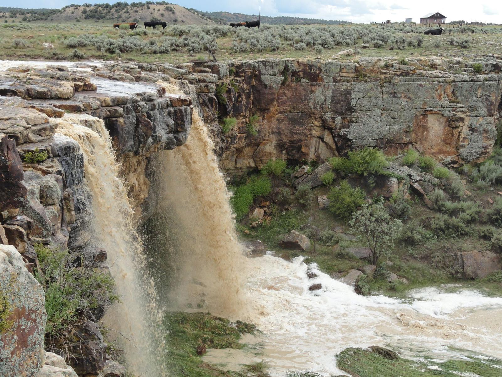 River and canyon cliffs at Chama River Canyon Ranch, Rio Arriba County, New Mexico