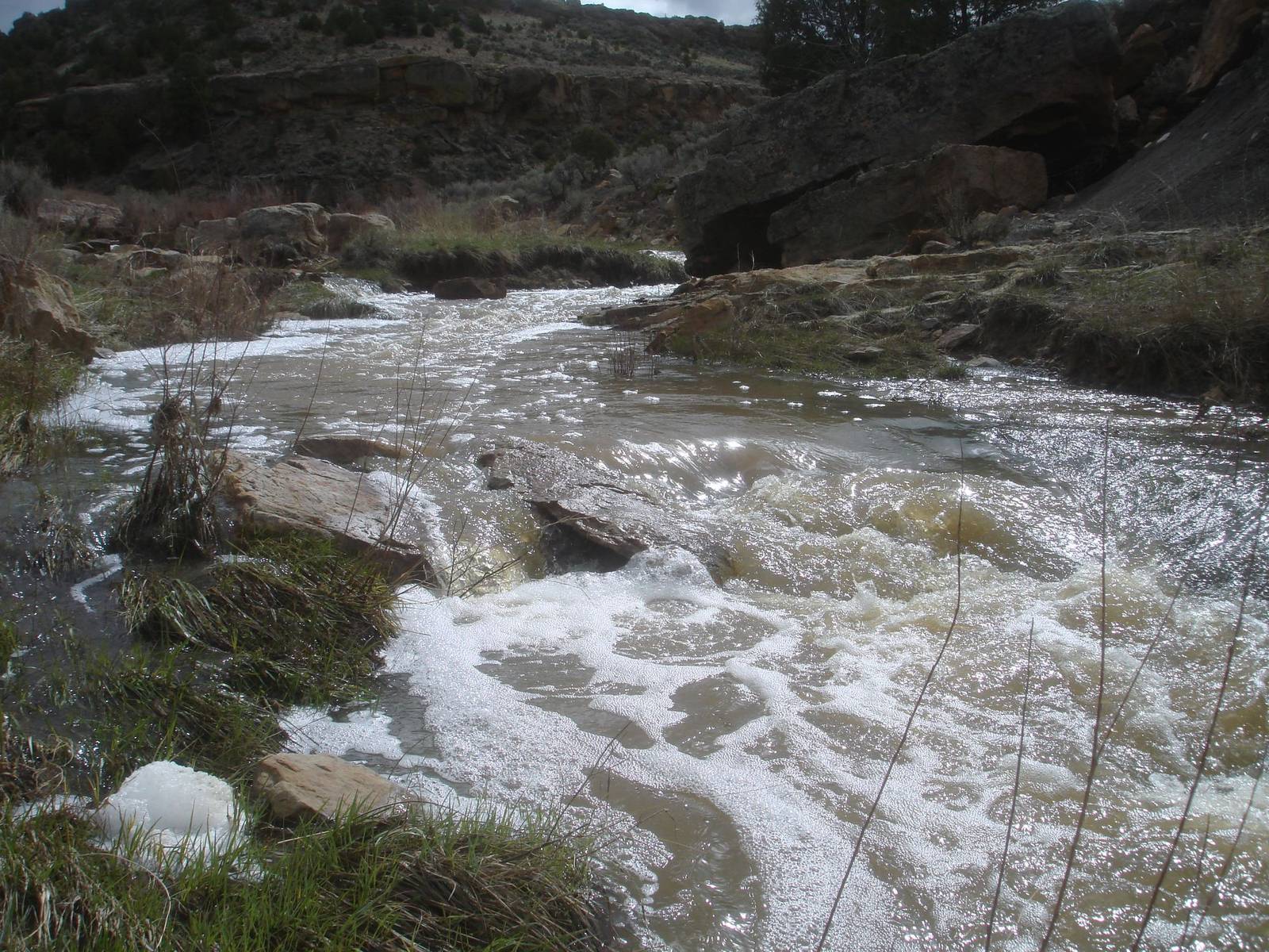 Canyon and river corridor at Chama River Canyon Ranch, Rio Arriba County, New Mexico