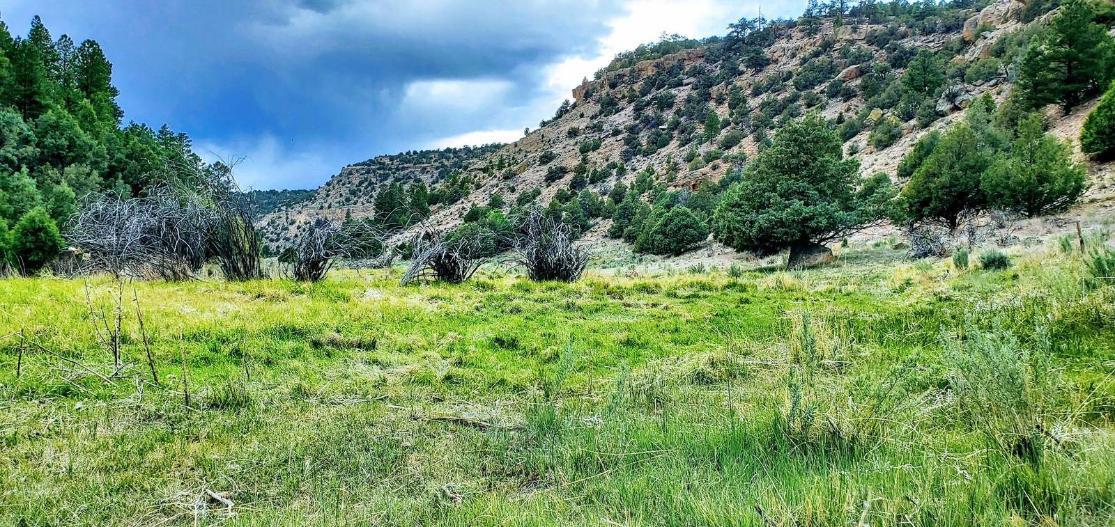 River corridor and canyon slopes at Chama River Canyon Ranch, Rio Arriba County, New Mexico