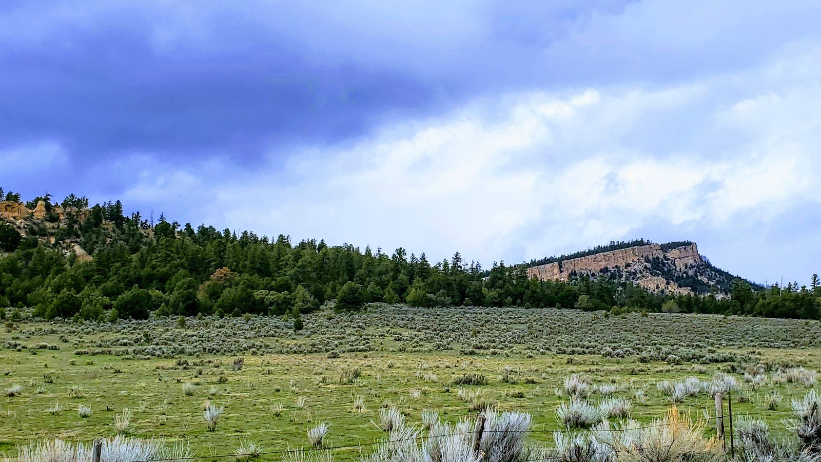 Sage meadow below a pine-covered ridge and sandstone bluff at Chupadera Ranch, Rio Arriba County, New Mexico