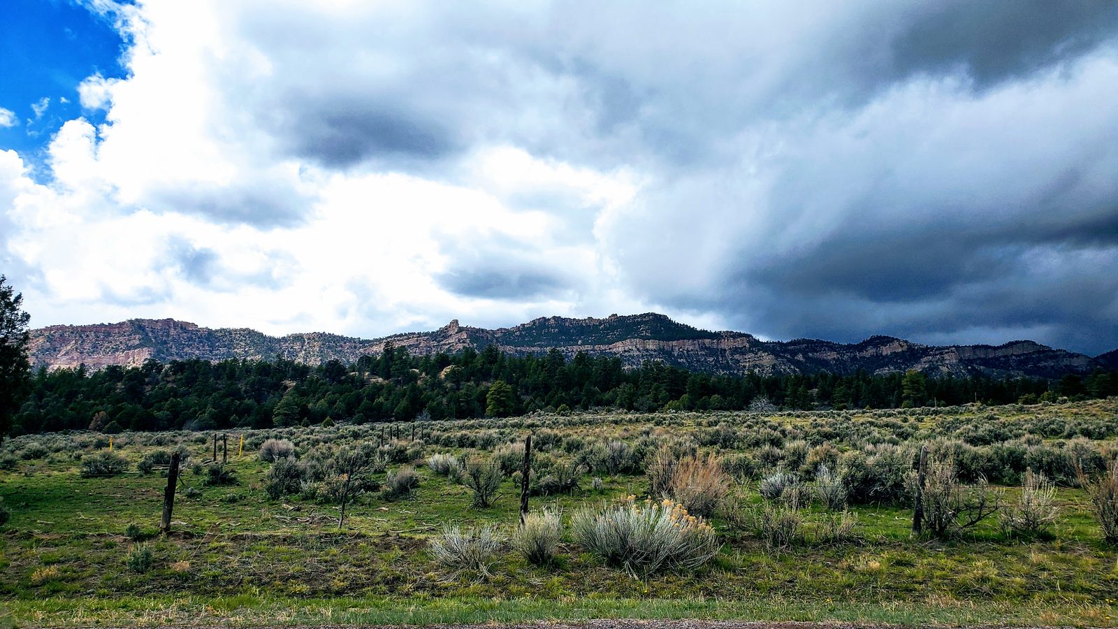 Sagebrush flat with a fence line and sandstone cliffs beyond at Chupadera Ranch, Rio Arriba County, New Mexico