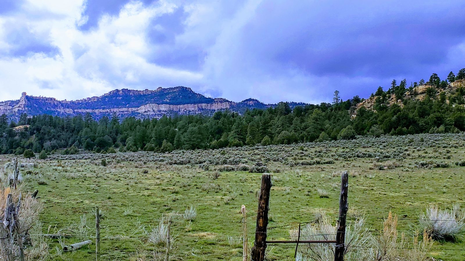 Barbed-wire fence and sage meadow below red rock cliffs at Chupadera Ranch, Rio Arriba County, New Mexico