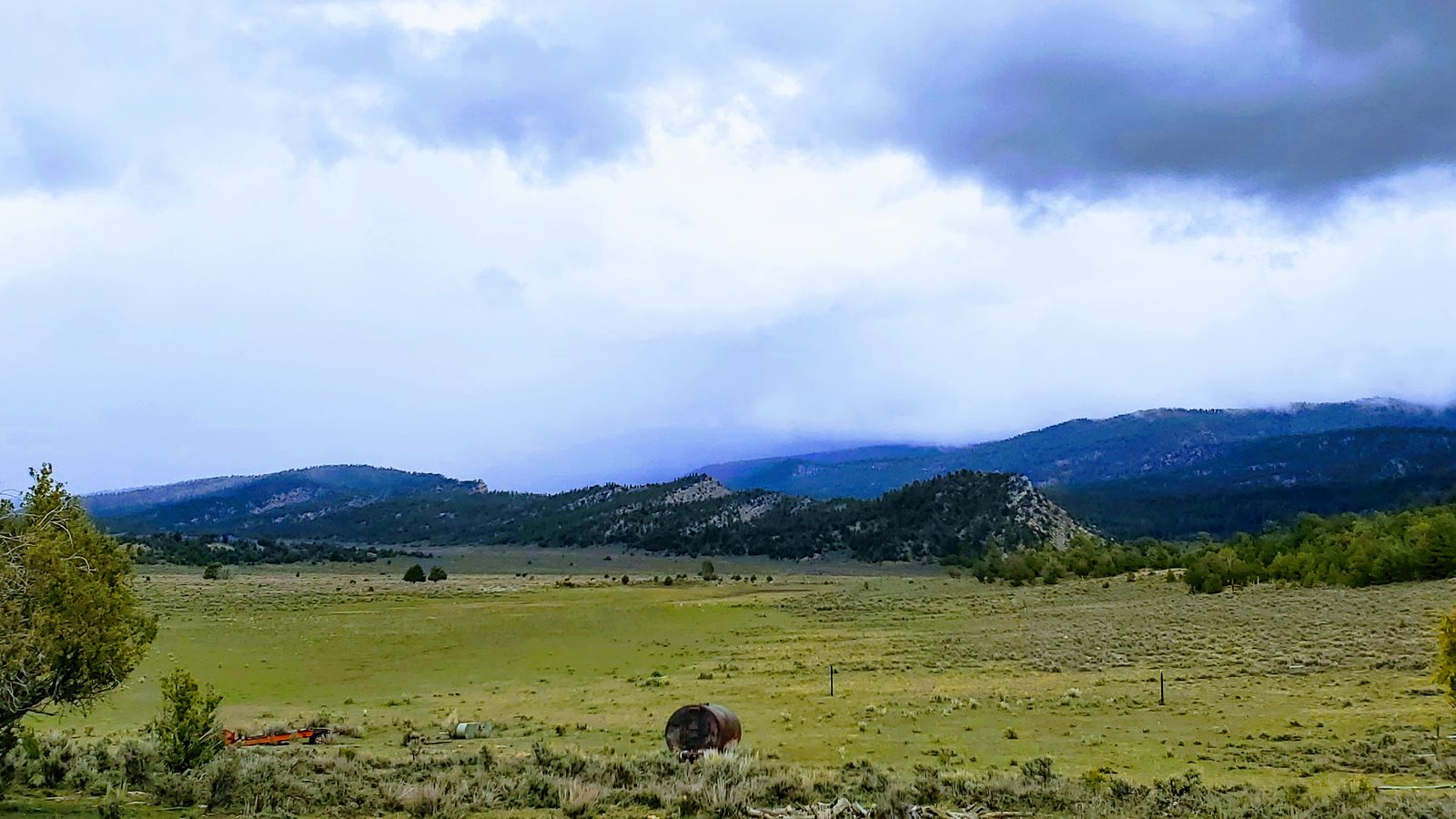 Green pasture with grazing cattle and mountains under storm clouds at Chupadera Ranch, Rio Arriba County, New Mexico