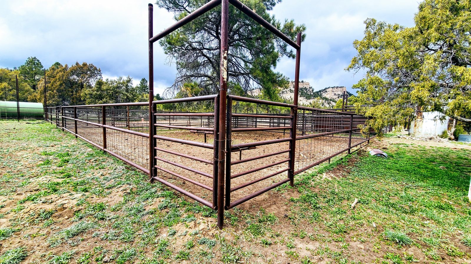 Steel livestock pens beside a pine tree at Chupadera Ranch, Rio Arriba County, New Mexico