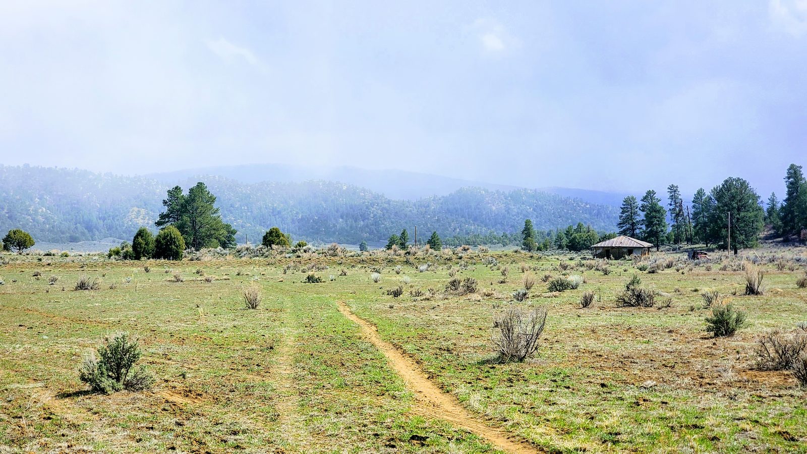 Two-track road across a sage meadow toward pine trees at Chupadera Ranch, Rio Arriba County, New Mexico