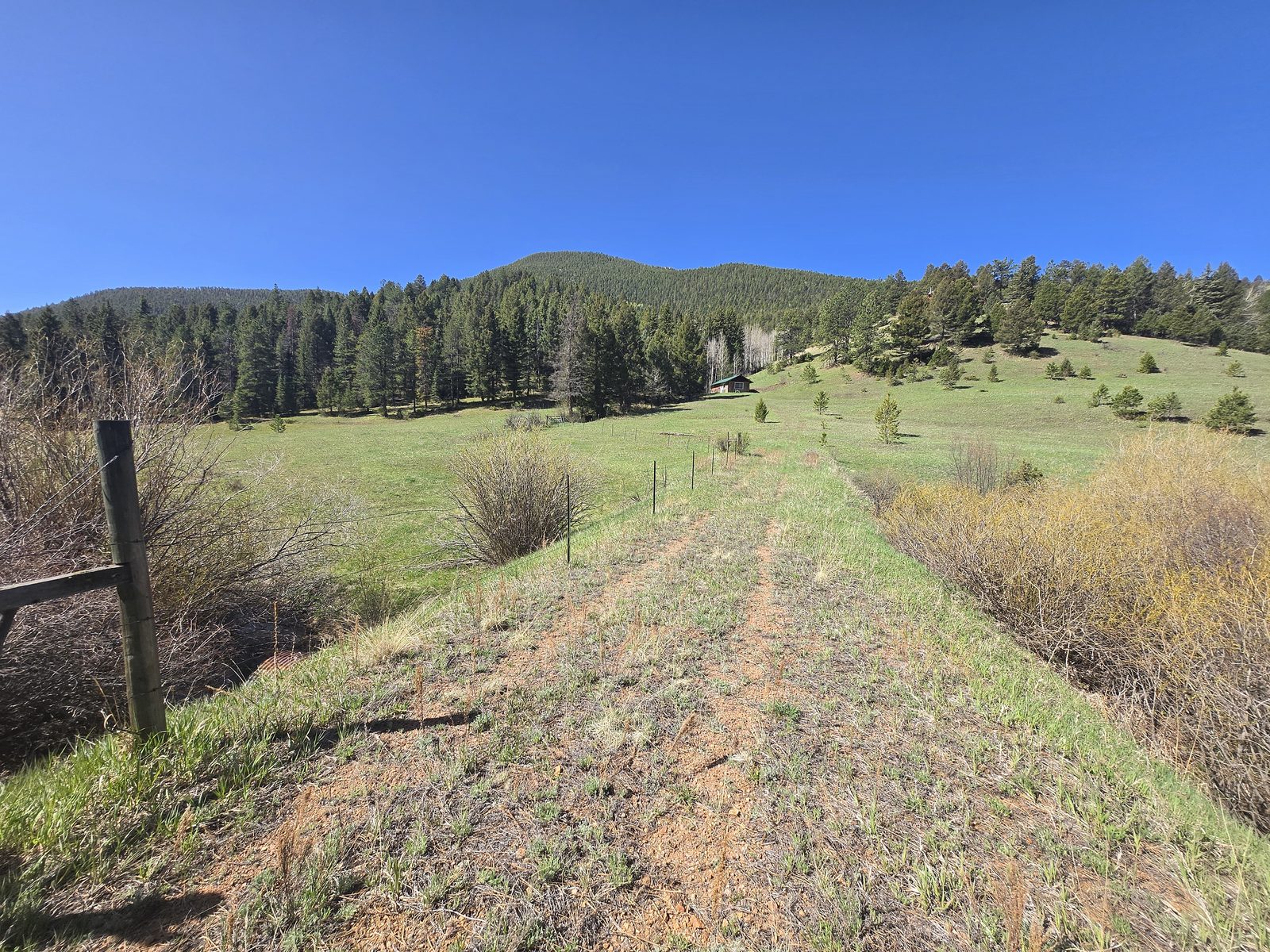Two-track ranch road climbing a grassy slope toward pine-covered hills at Foxton Retreat, Jefferson County, Colorado