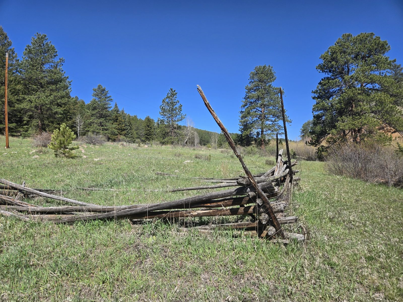 Old split-rail fence in a meadow ringed by pines at Foxton Retreat, Jefferson County, Colorado