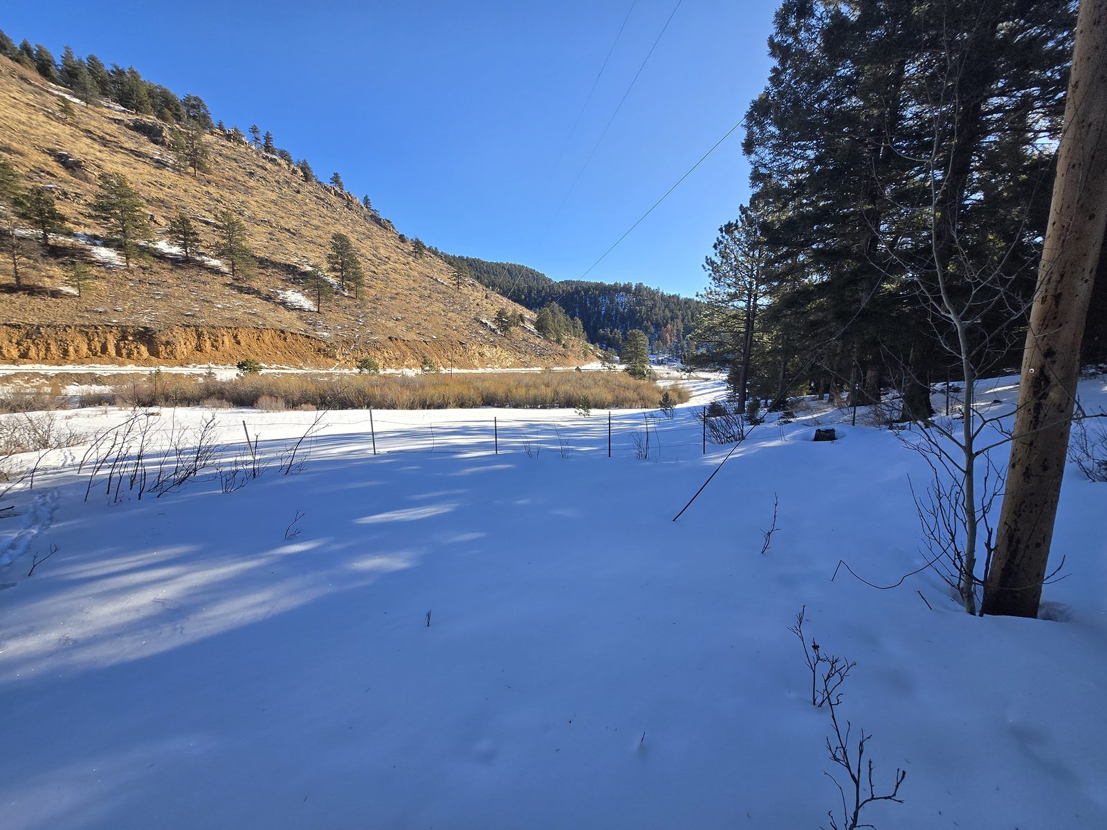 Snow-covered valley below a pine-dotted ridge at Foxton Retreat, Jefferson County, Colorado