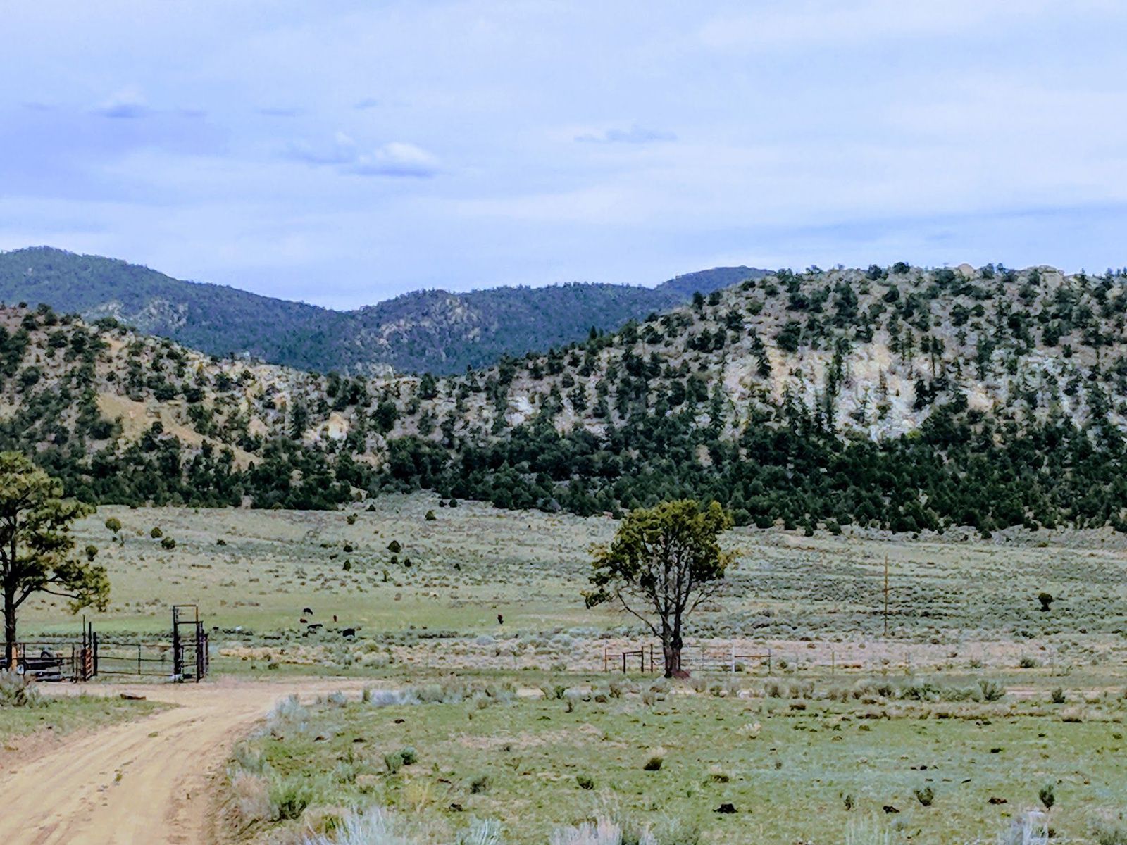 Mesa and mountain country at Gloria a Dios, Rio Arriba County, New Mexico