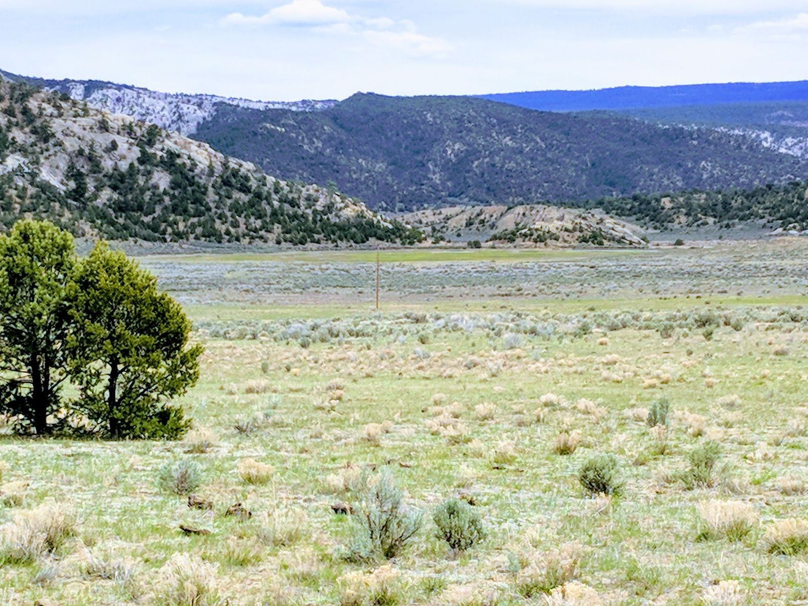 Sagebrush pasture, evergreen trees, and forested hills at Gloria a Dios, Rio Arriba County, New Mexico