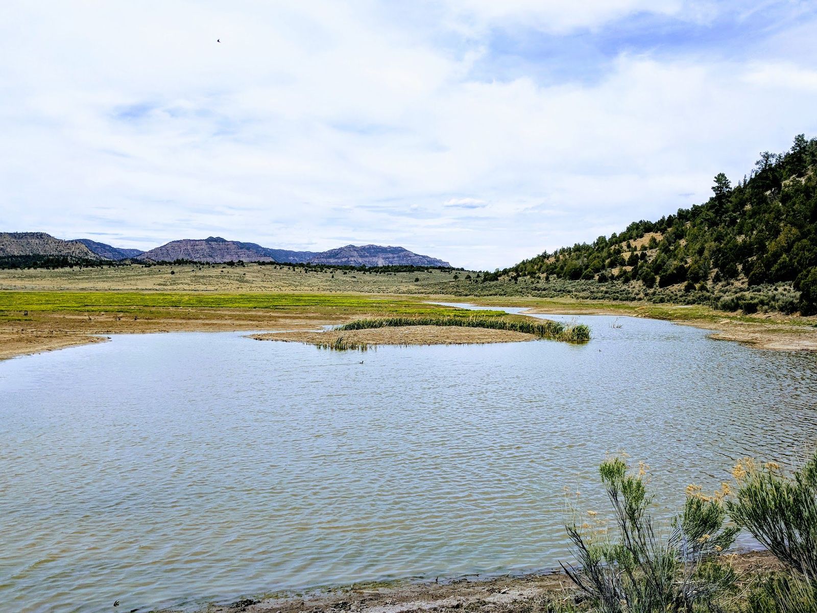 Pond, green pasture, and distant mesas at Gloria a Dios, Rio Arriba County, New Mexico