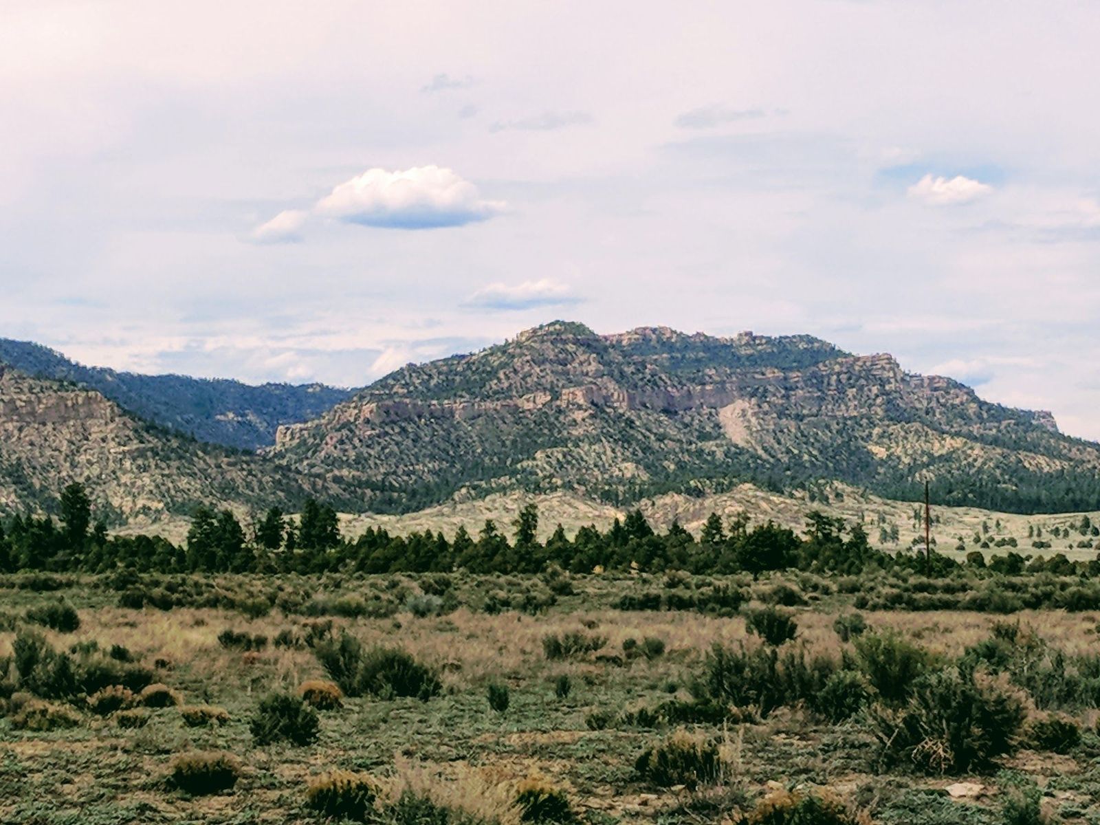 Shrubby pasture, evergreen trees, and a rocky mesa at Gloria a Dios, Rio Arriba County, New Mexico