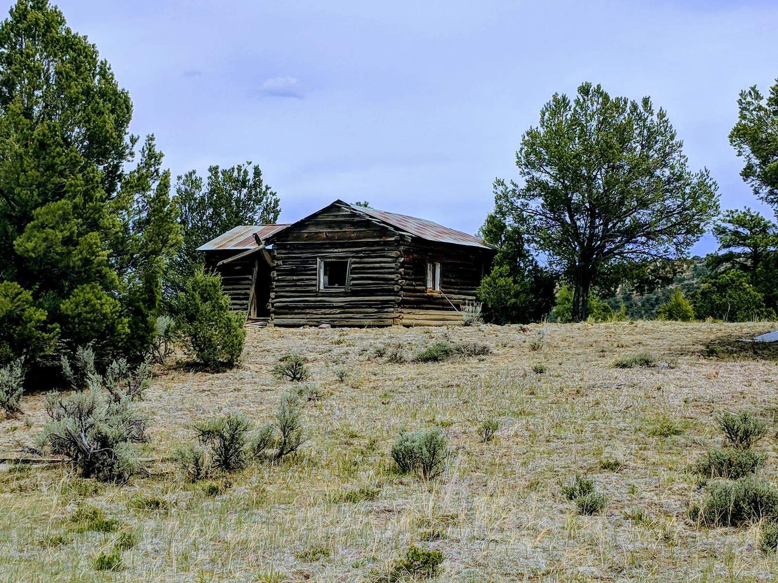 Weathered log cabin among evergreen trees and sagebrush at Gloria a Dios, Rio Arriba County, New Mexico