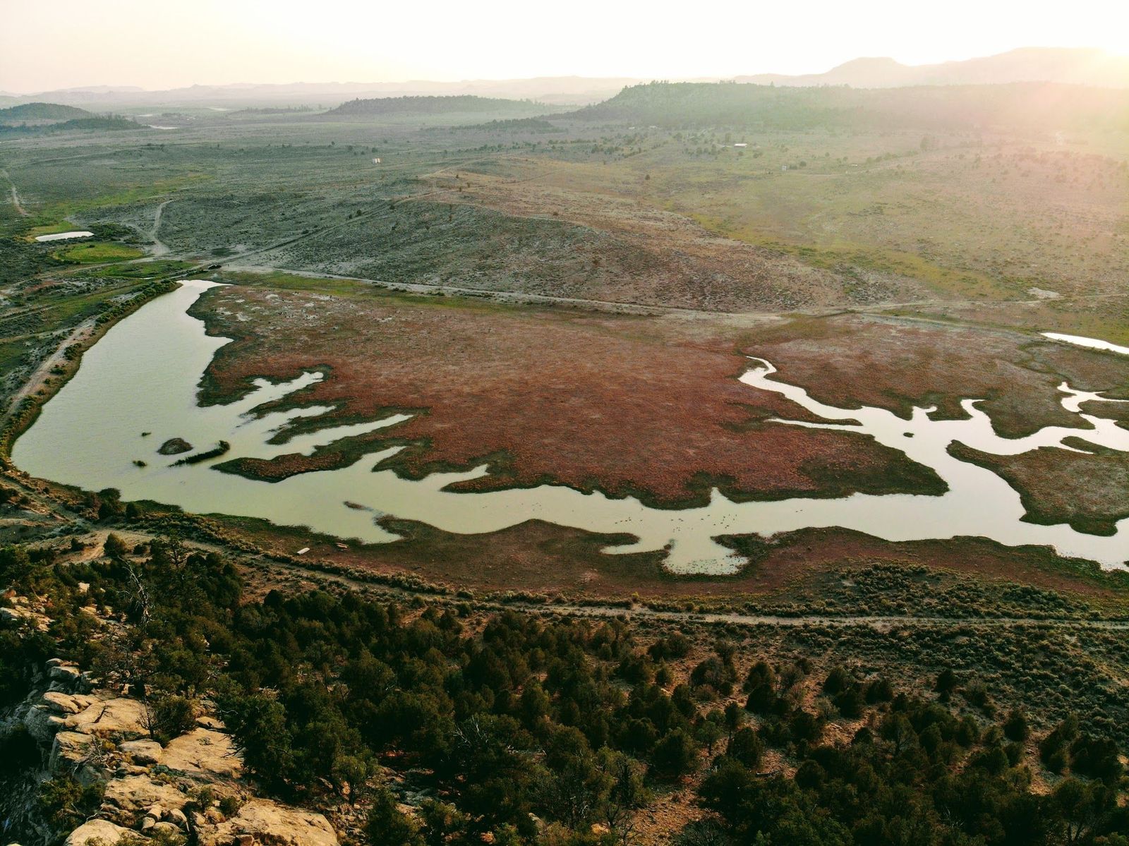 Aerial view of a marshy pond, dirt road, and trees at Gloria a Dios, Rio Arriba County, New Mexico