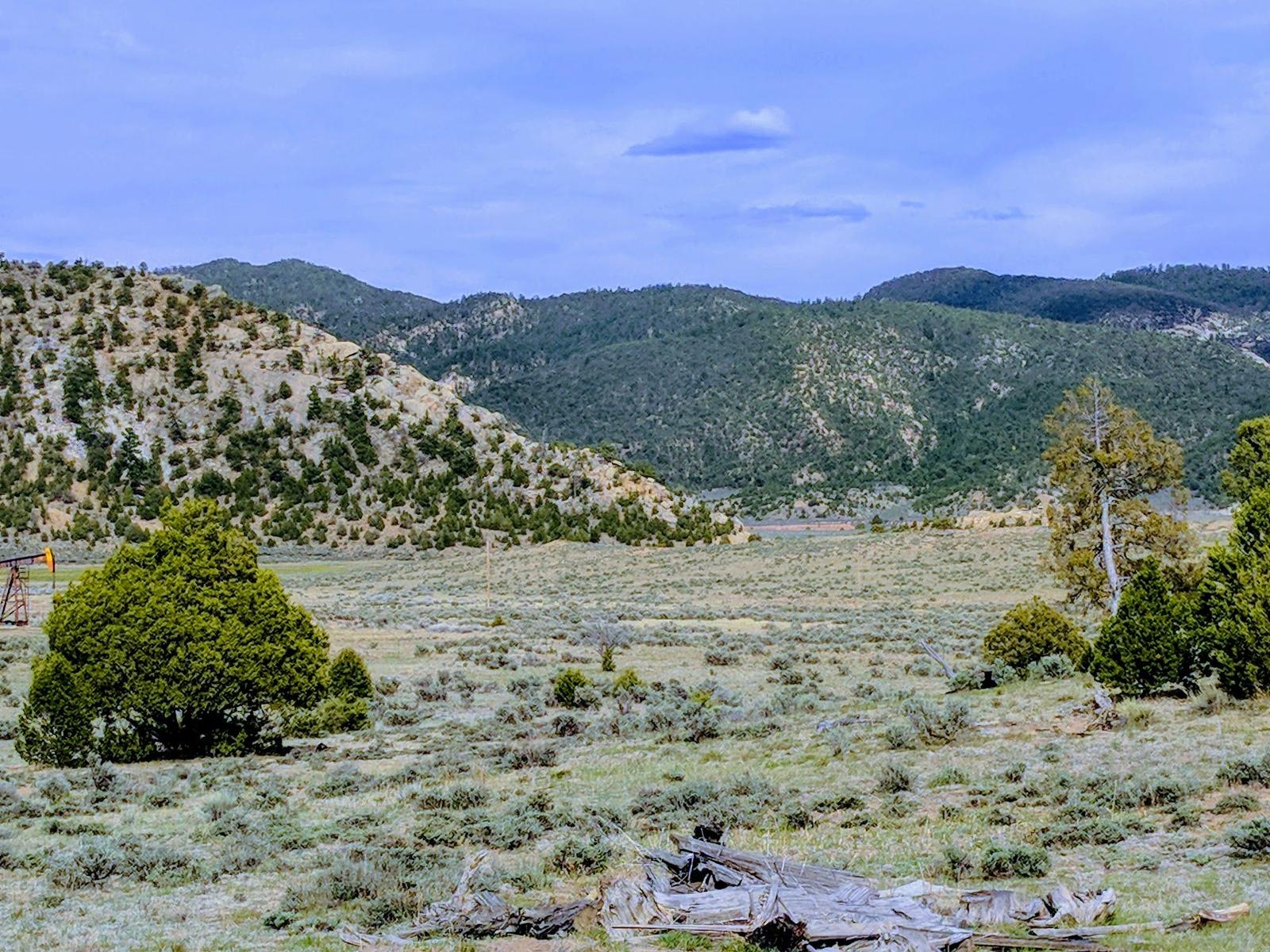 Sagebrush valley, trees, and forested hills at Gloria a Dios, Rio Arriba County, New Mexico