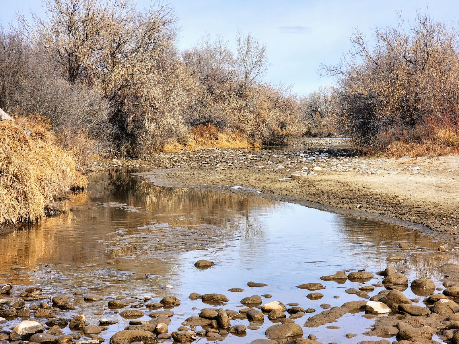 Rocky creek bed with still water and winter cottonwoods at Gomez Farm, San Juan County, New Mexico