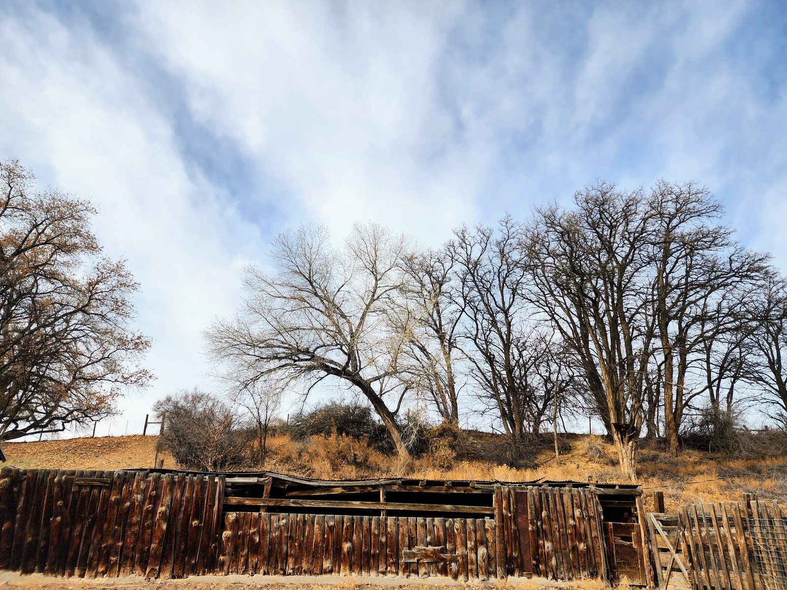 Old wood corral below bare cottonwood trees at Gomez Farm, San Juan County, New Mexico