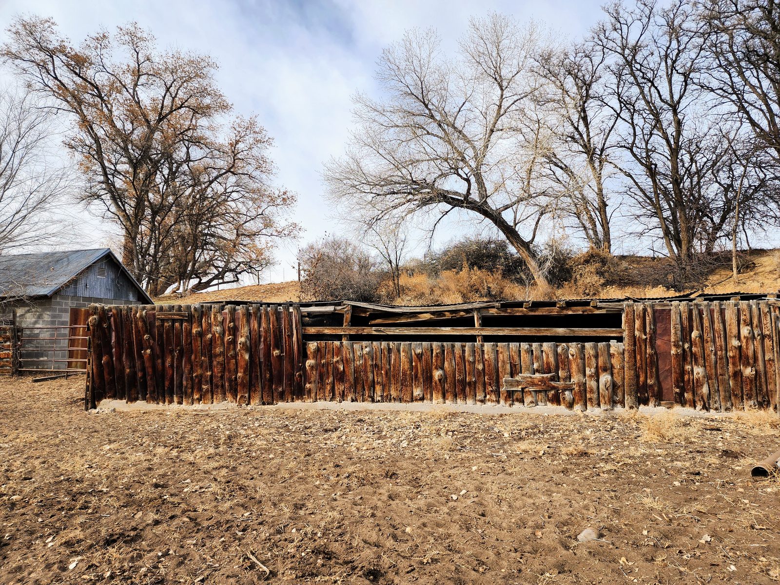 Wood corral and shed beneath large cottonwoods at Gomez Farm, San Juan County, New Mexico