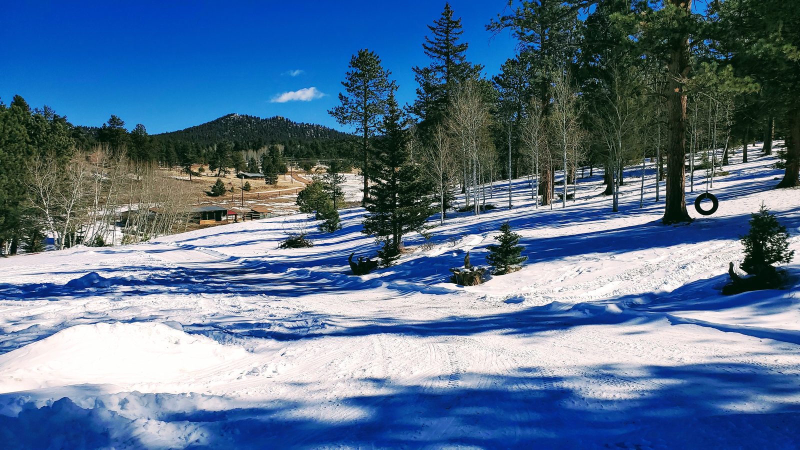 Snow-covered meadow and ponderosa pines below a forested hill at Horse Creek Ranch, Lake George, Teller County, Colorado