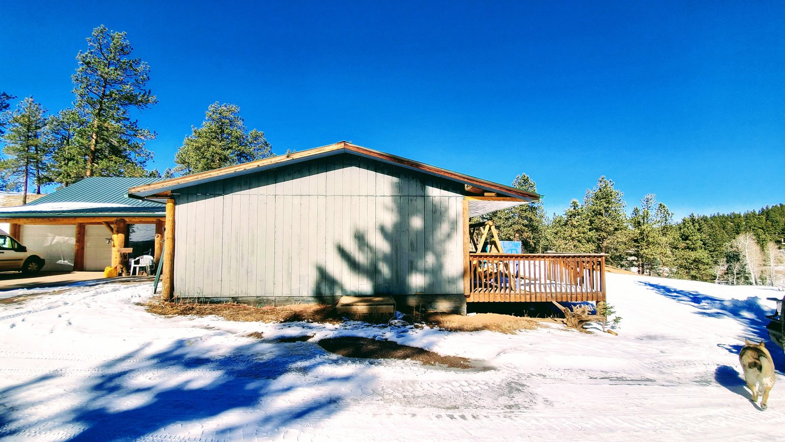 Single-story home with a deck and carport among pines in the snow at Horse Creek Ranch, Lake George, Teller County, Colorado