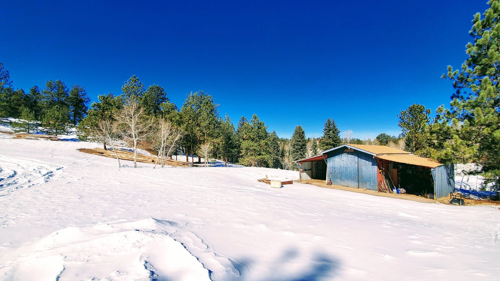 Metal-roofed barn at the edge of a snowy pasture with pines at Horse Creek Ranch, Lake George, Teller County, Colorado