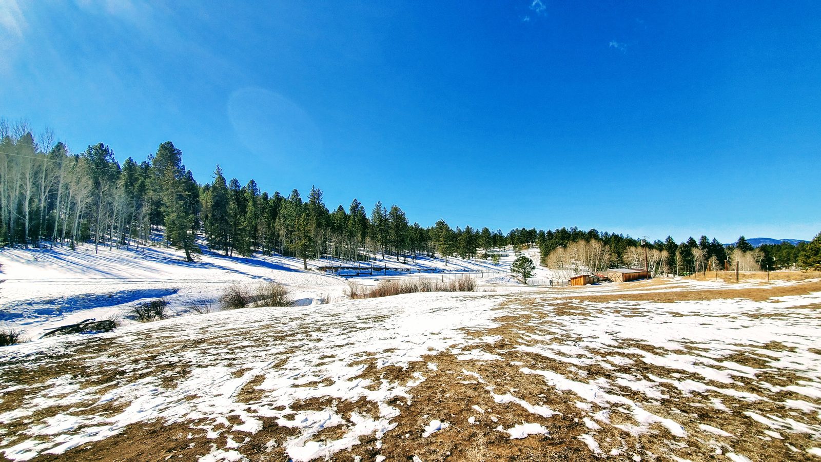 Open pasture with patchy snow leading to outbuildings and an aspen and pine tree line at Horse Creek Ranch, Lake George, Teller County, Colorado