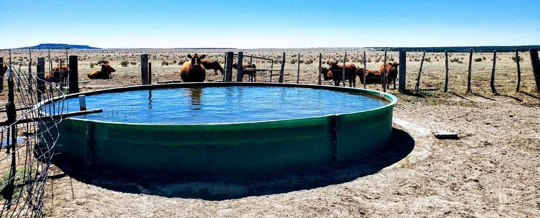 Round metal stock tank with cattle behind a fence at Long Canyon Ranch, Las Animas County, Colorado