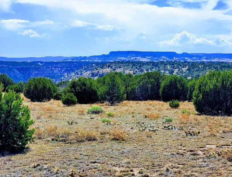 Shrubby grassland and a distant mesa at Long Canyon Ranch, Las Animas County, Colorado