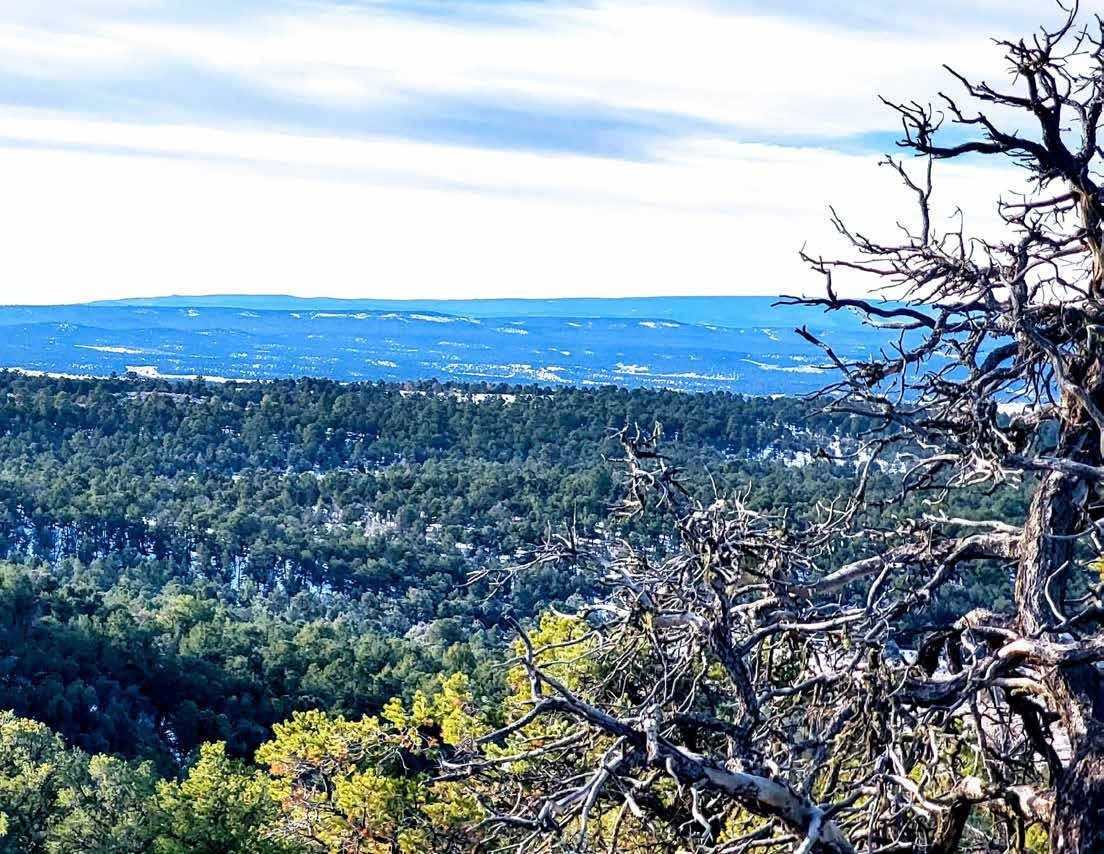 Piñon and juniper hills at Los Piñones Ranch, Rio Arriba County, New Mexico