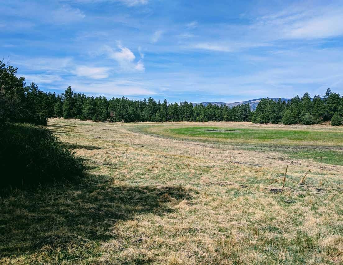 Grassland and distant mountains at Sanchez Ranch, Mora County, New Mexico