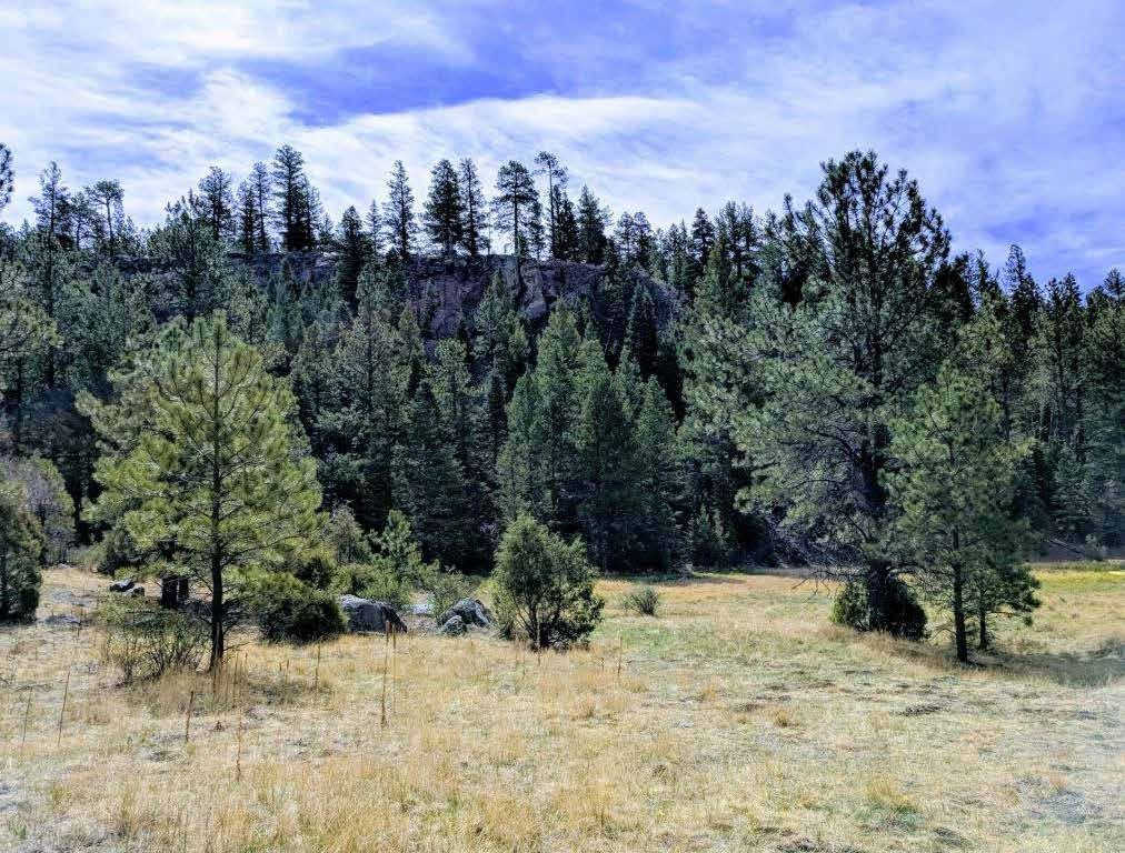 Dry pasture below a pine-covered rocky hillside at Sanchez Ranch, Mora County, New Mexico