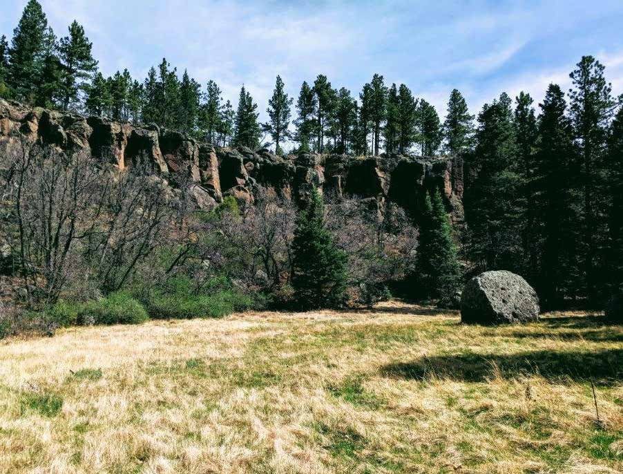 Dry grass field below a rocky cliff lined with pines at Sanchez Ranch, Mora County, New Mexico