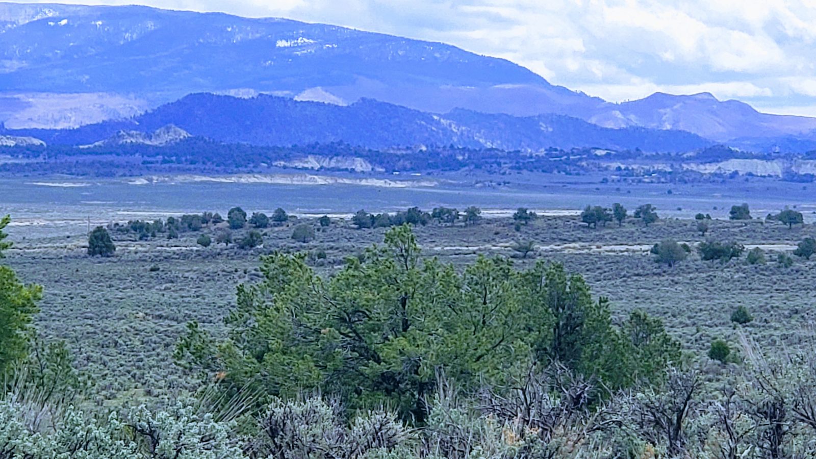 Wide valley view with juniper trees and mountains beyond at Sanctuary Ranch, Rio Arriba County, New Mexico