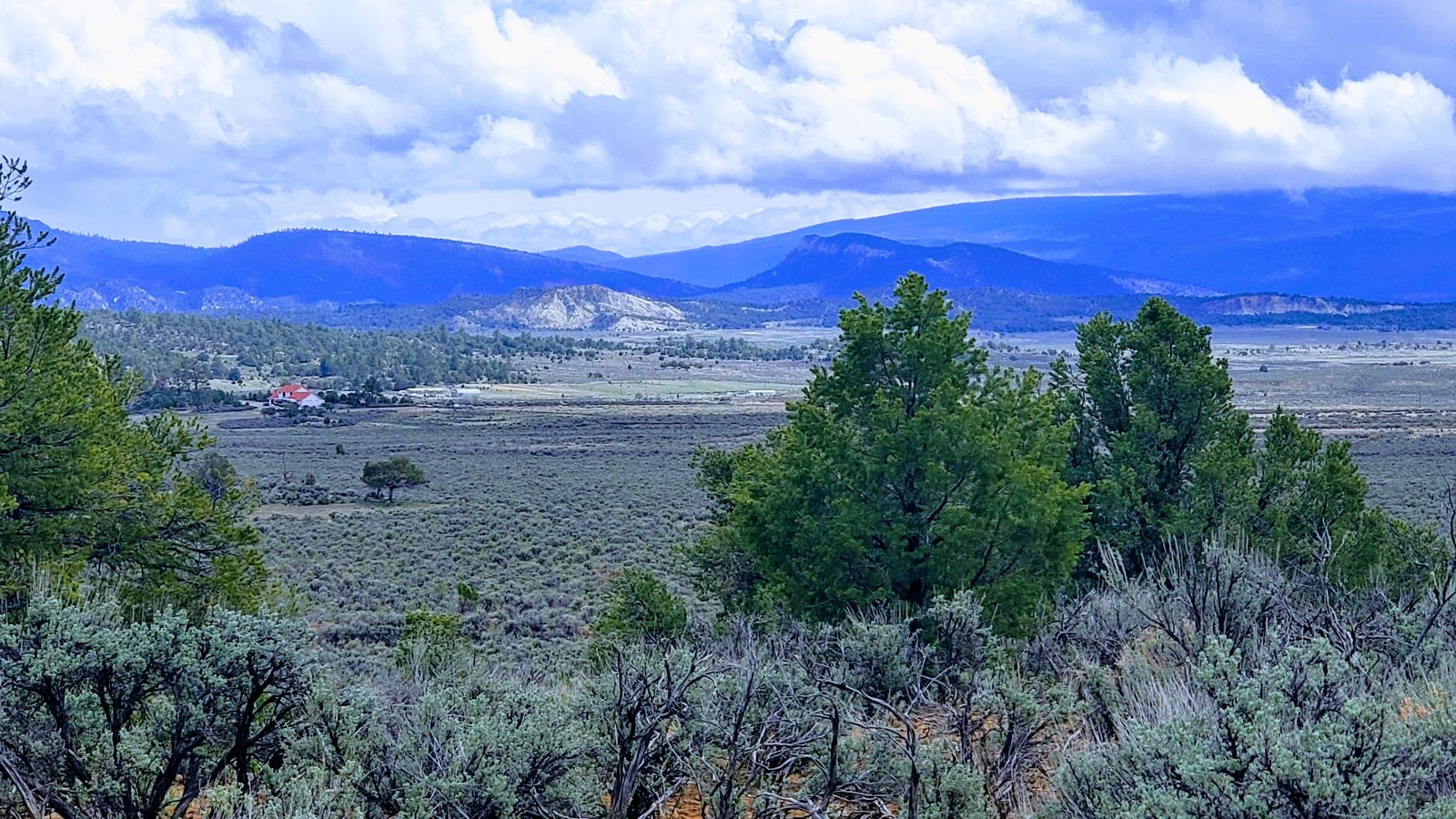 Sagebrush and pinon trees overlooking a broad valley at Sanctuary Ranch, Rio Arriba County, New Mexico